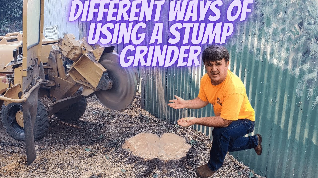 Used stump grinder adding tree work