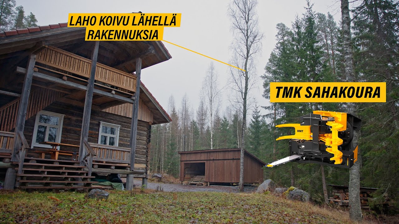 LAHOAVA puu l&auml;hell&auml; m&ouml;kki&auml; - puun poisto TMK Sahakouralla