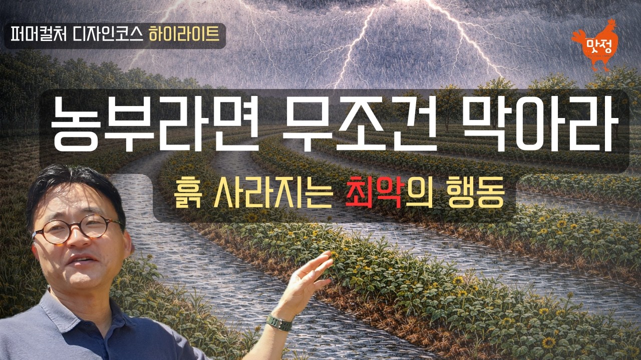 천년 걸려 만든 흙이 하루 만에 사라집니다! 농부들이 가장 먼저 막아야 할 치명적 실수!_퍼머컬처 디자인코스 하이라이트 7