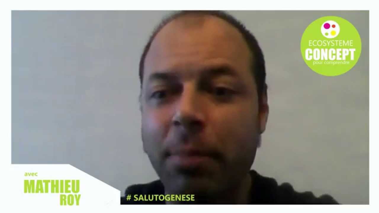 LA SALUTOGENESE, vers la promotion de la santé par mathieu roy présenté par c jaurand
