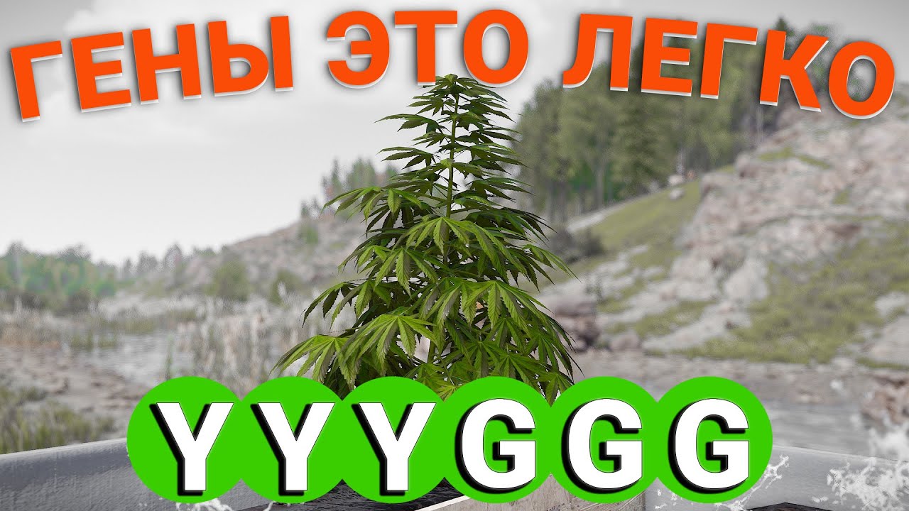КАК ВЫВЕСТИ ЛЮБОЙ ГЕН ? Гайд на генетику - RUST