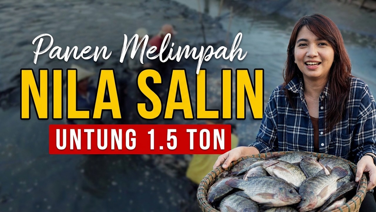 Panen Rejeki dari #Nila Salin