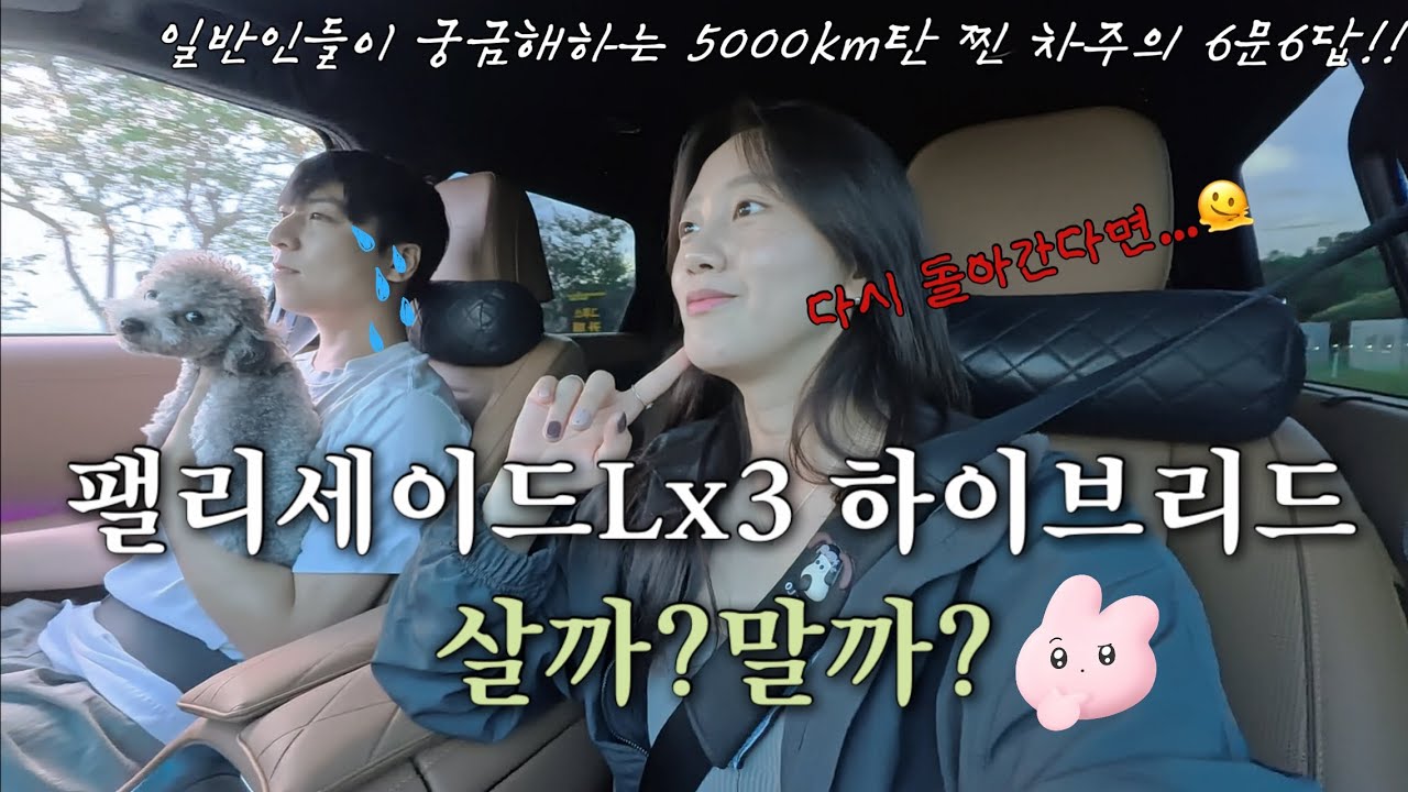 •차량vlog•🚨팩폭주의 팰리세이드LX3 하이브리드 찐 차주의 일반인 관점 6문 6답 차량 파헤쳐보기(+ 메이튼 헤일로 차량방향제 추천)