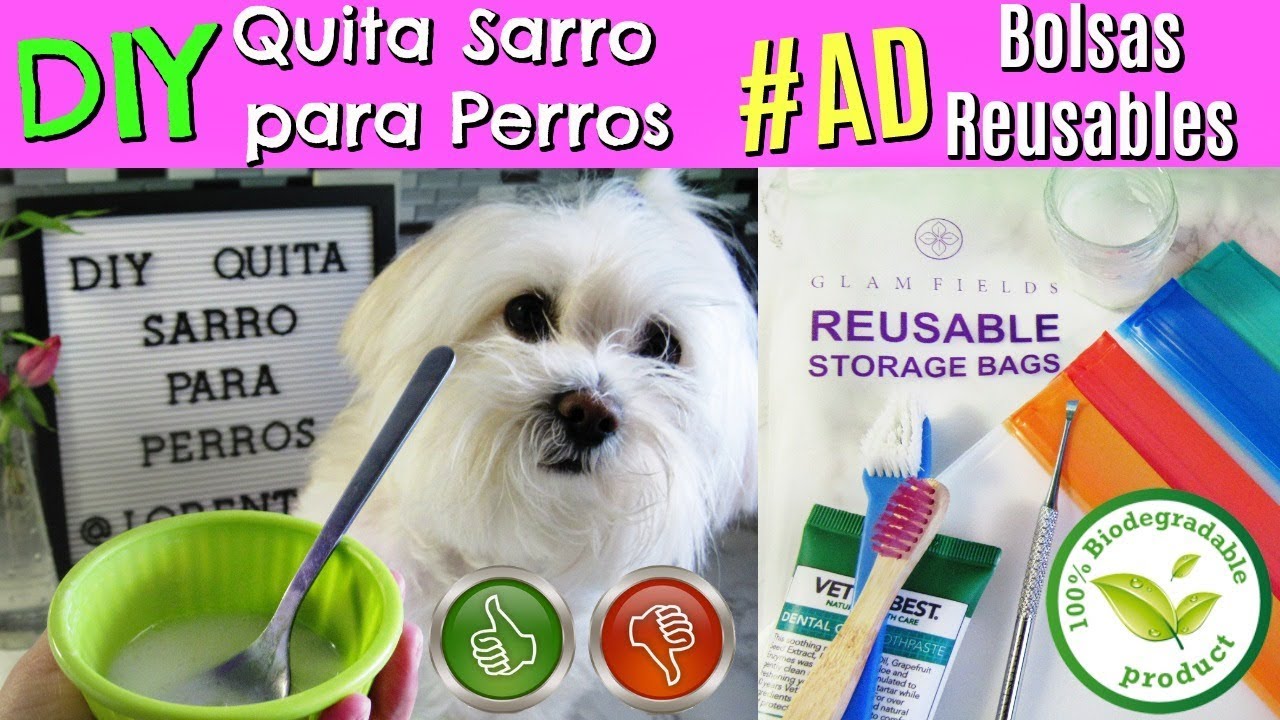 Quita SARRO para PERROS, SORTEO: Bolsas biodegradables GLAMFIELDS I Lorentix
