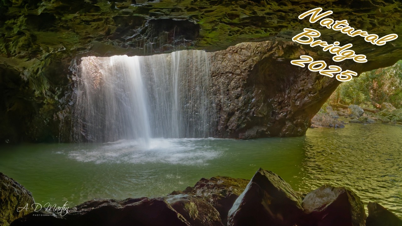 Natural Bridge 2025