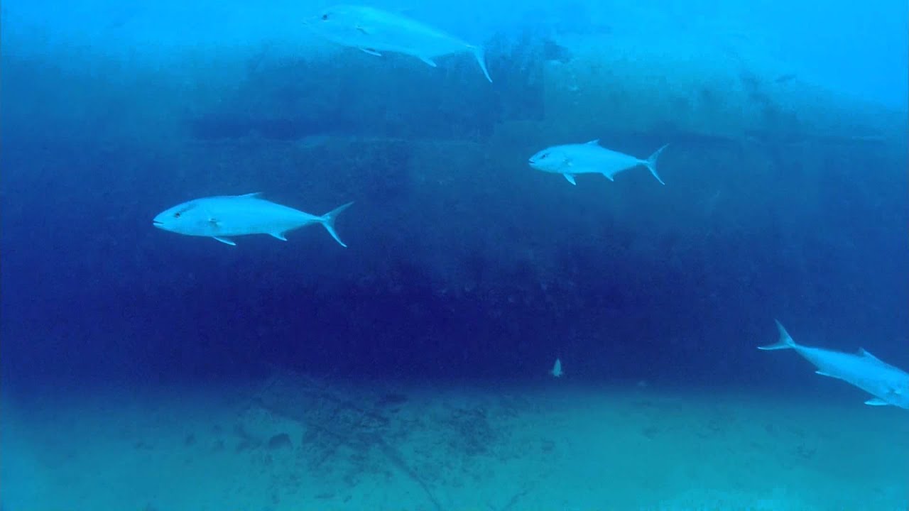 U-boat Wreck Dive: U-2513 Revealed (1944-1951) | Nautilus Live