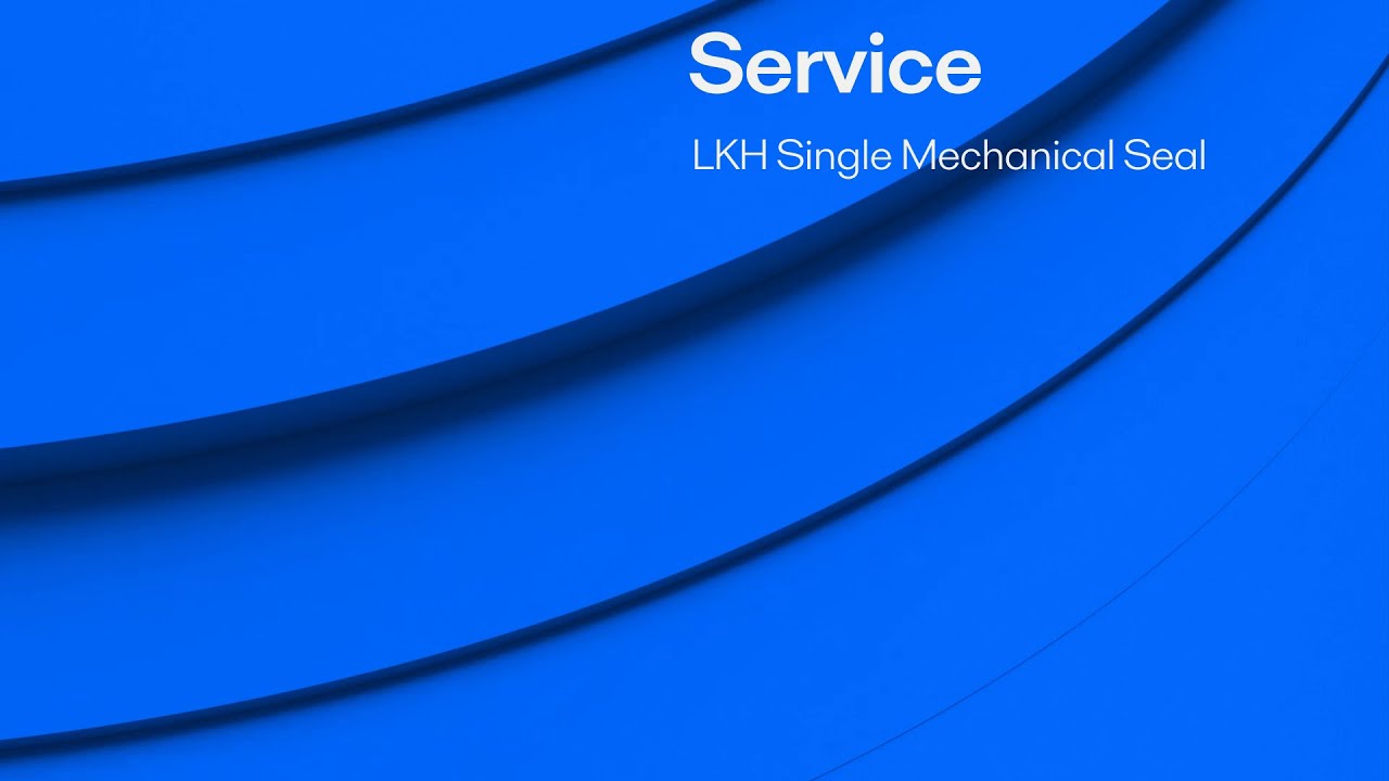 LKH Single Mechanical Seal service