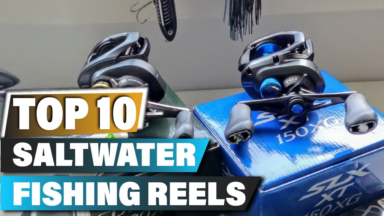 Best Saltwater Fishing Reels In 2025 - Top 10 Saltwater Fishing Reel Review