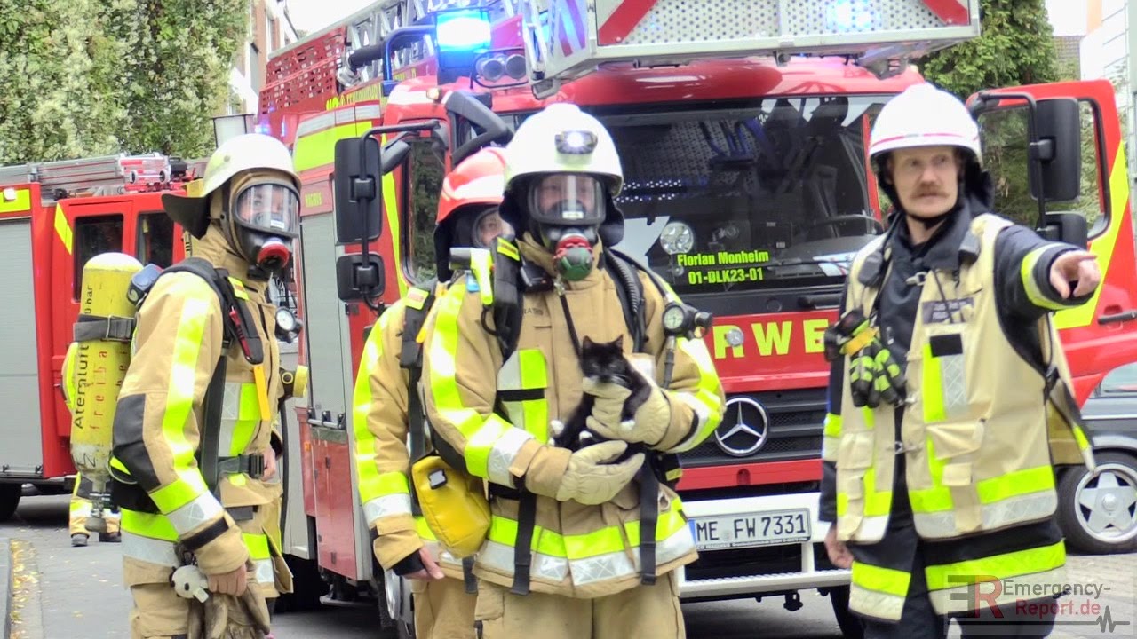 [KATZENRETTUNG BEI BRANDEINSATZ] - Tiere mit Sauerstoff versorgt | Küchenbrand | Feuerwehr Monheim -
