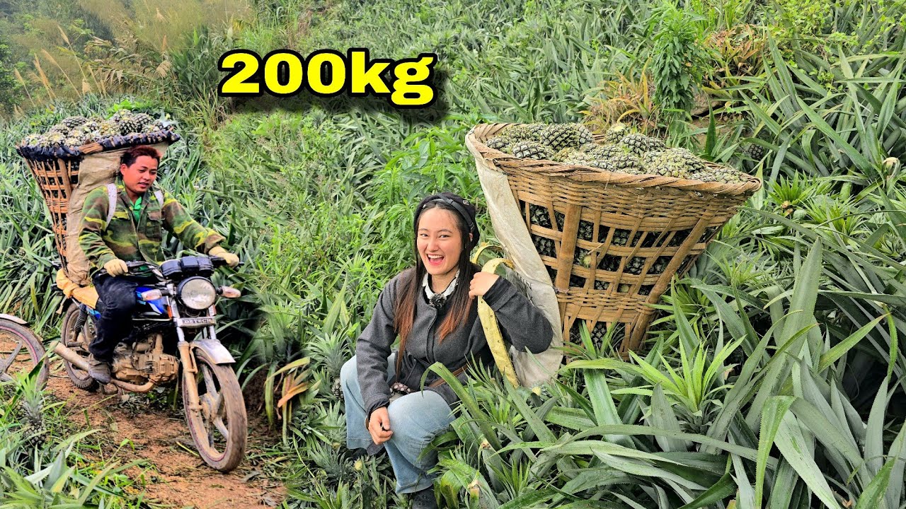 Em Nhi Sốc Khi Thấy Cảnh Người Thồ Dứa Có Thể Thồ 200 Cân Mỗi Lần