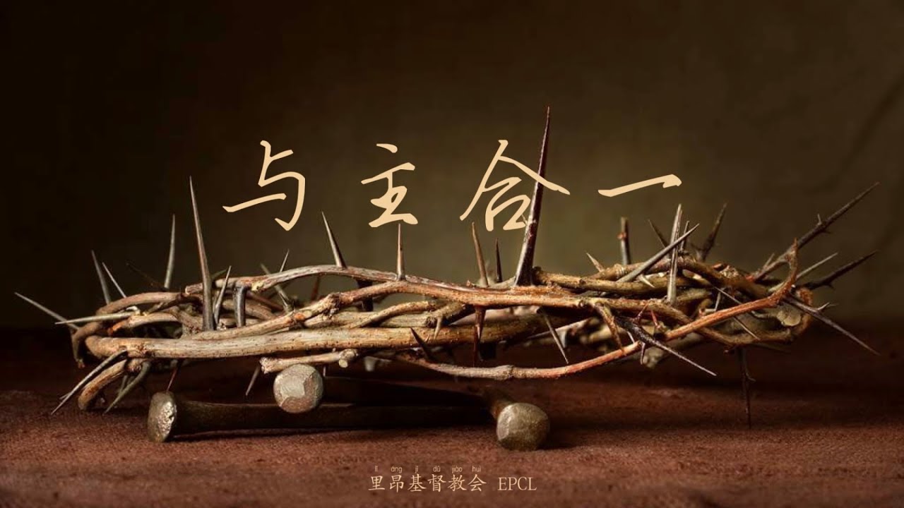 與主合一