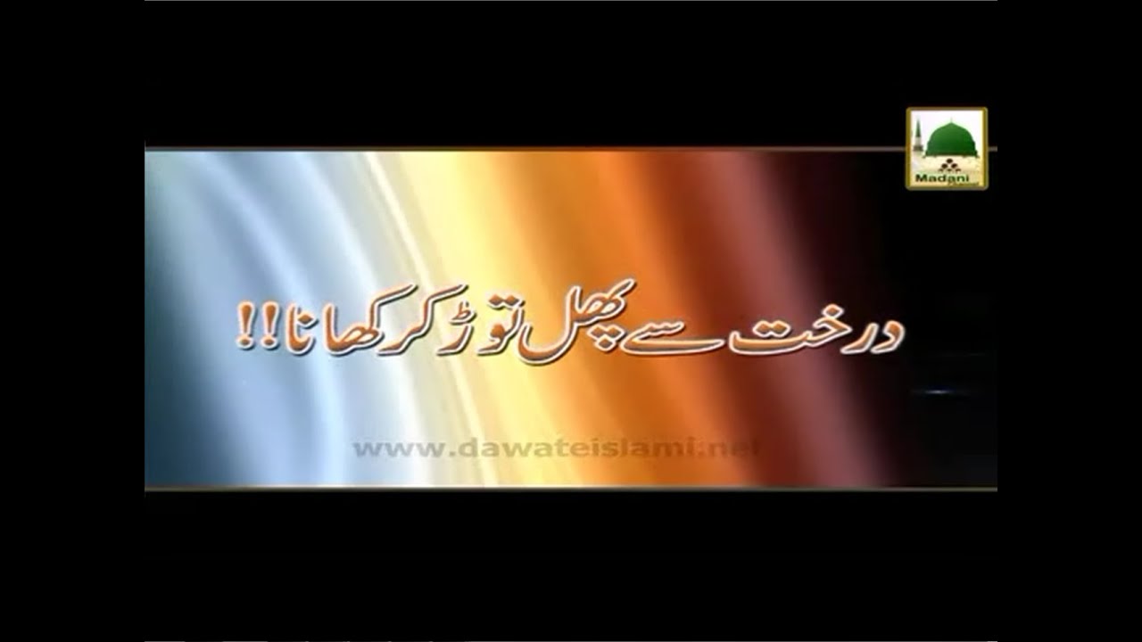 Darakht Se Phal Tor Kar Khana - Maulana Ilyas Qadri - Madani Muzakra