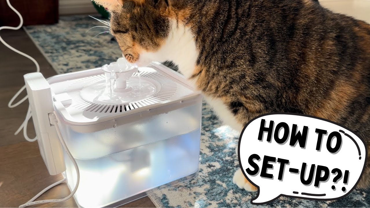 Silent Leak Proof Cat Drinking Fountain 3 Liter Large Capacity Review
