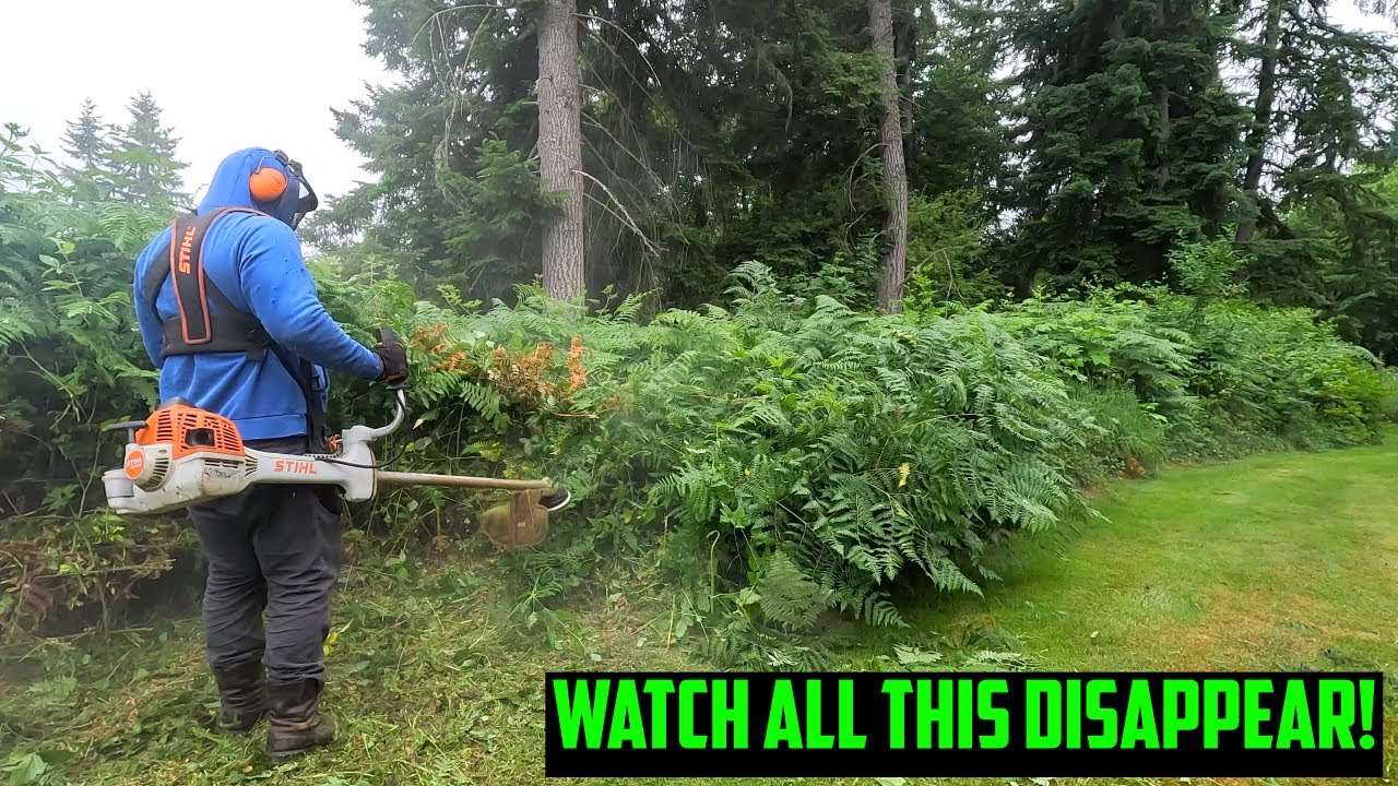 From Jungle to Garden Space – Her Shocking Transformation! #satisfying