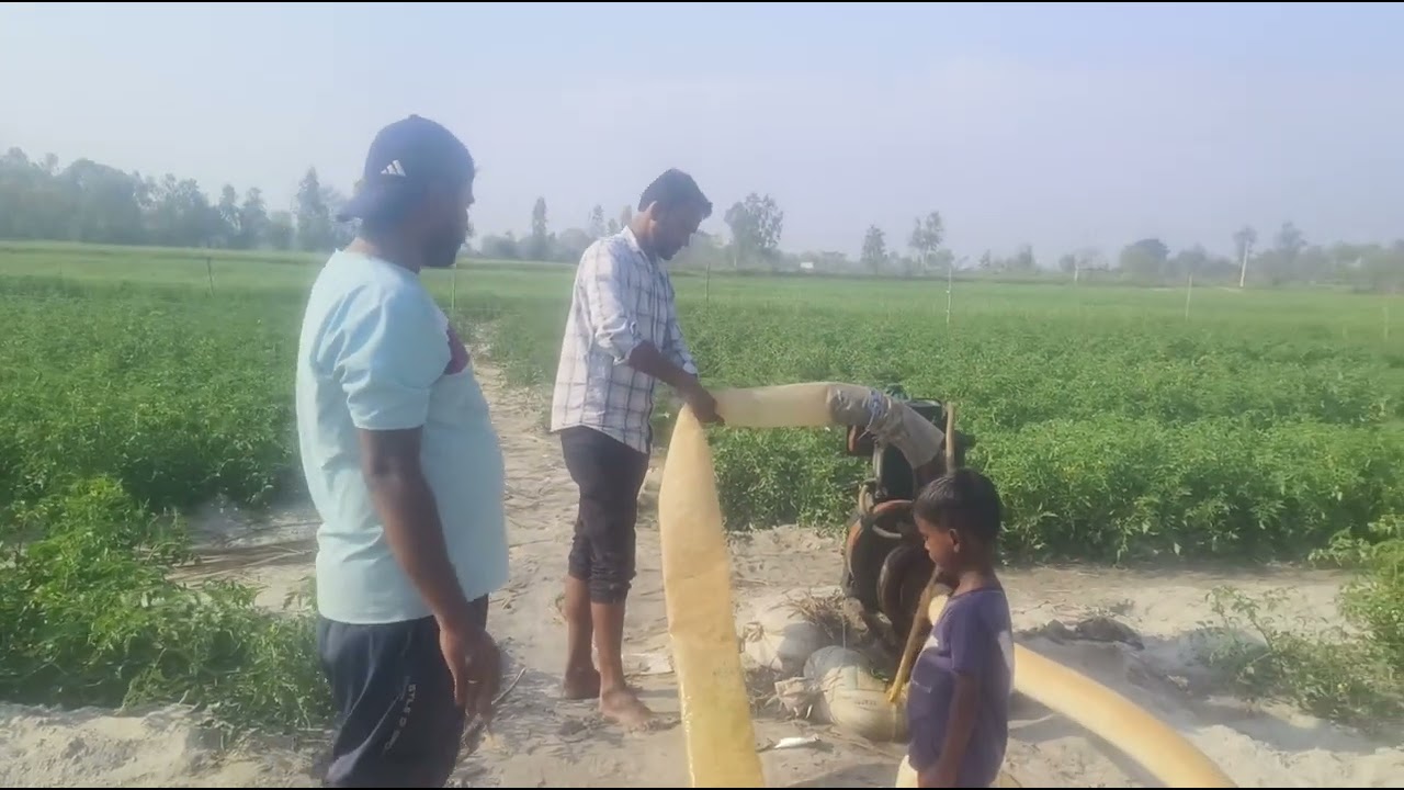 Farming Sinchai Pump Machine | 8hp Diesel Engine WaterPump Machine Bast Pump Machine |