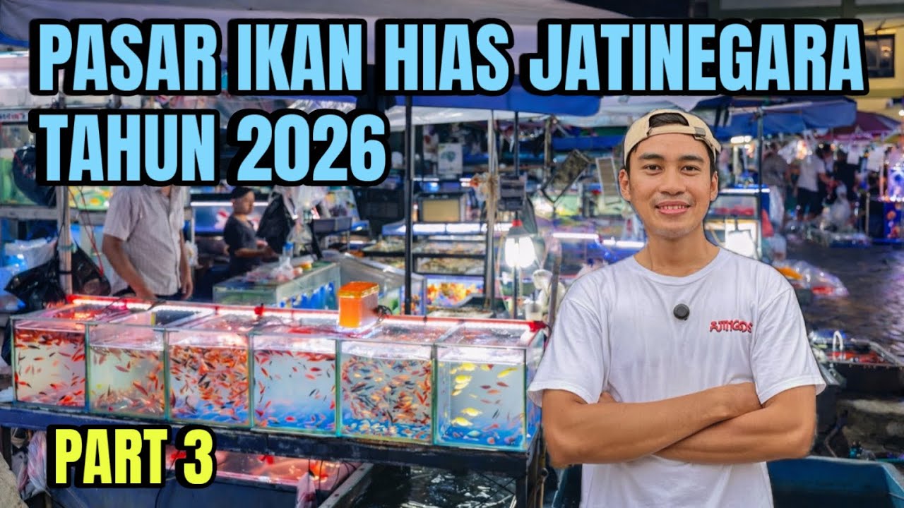 PASAR IKAN HIAS JATINEGARA 2026‼️Part 3
