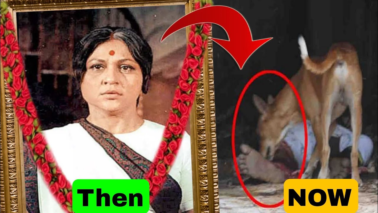 पति तक ने साथ छोड़ दिया&hellip; Nirupa Roy की अनसुनी कहानी | biography by CTXTV