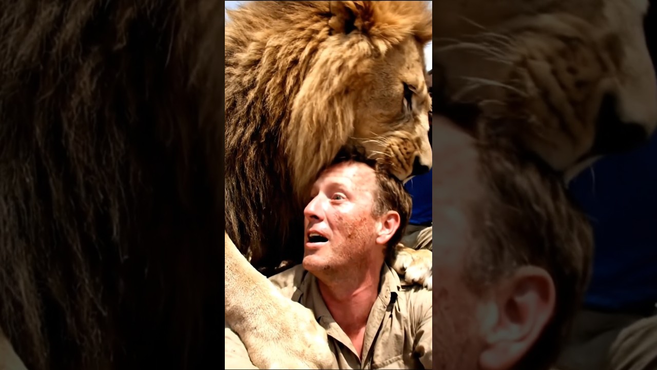 This Lion Jumped On Them… But Didn’t Bite 😳🦁