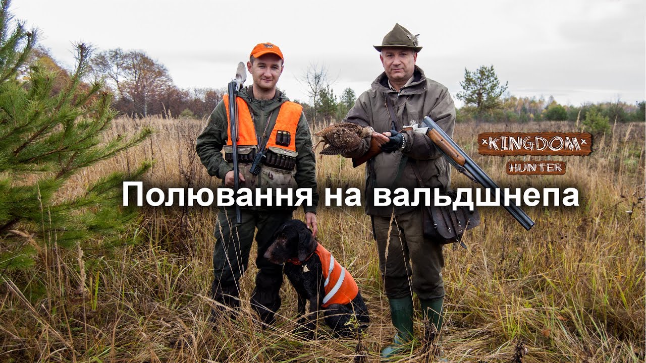 Полювання на вальдшнепа