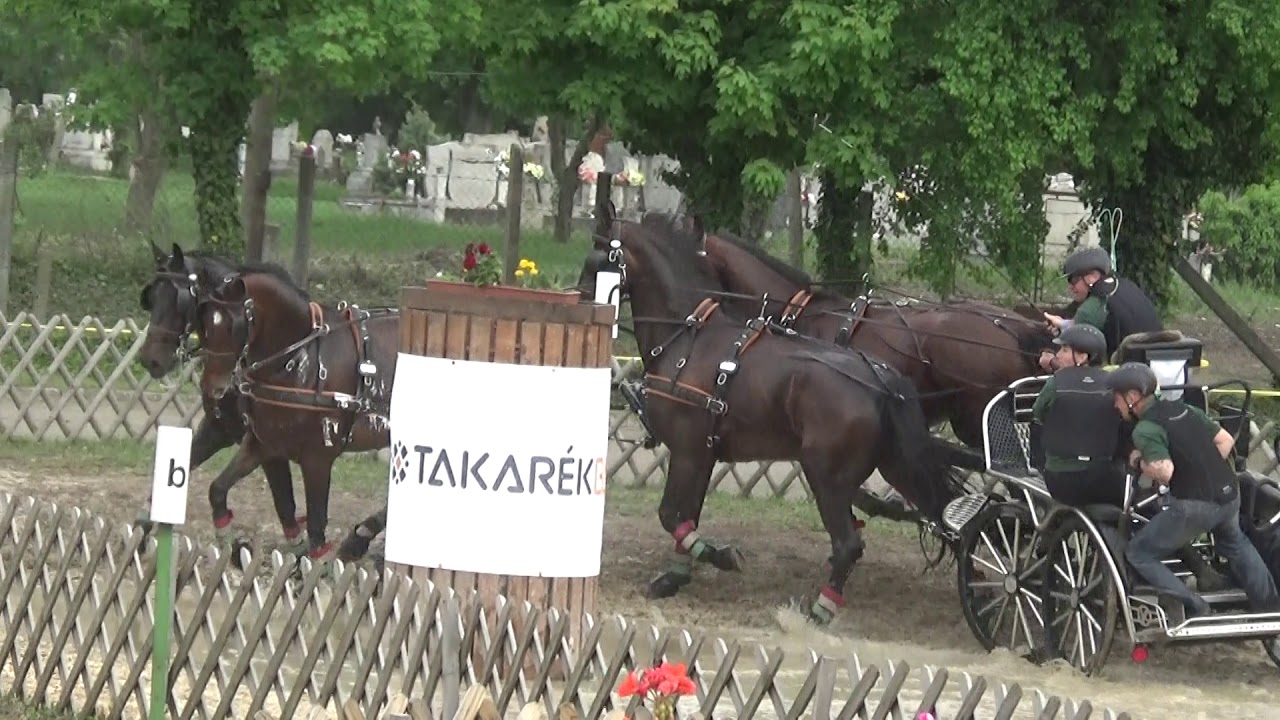 Fogathajtás, Dobrovitz József, HUN, négyesfogat, maratonhajtás, 7., Mezőhegyes, v190504-3-109
