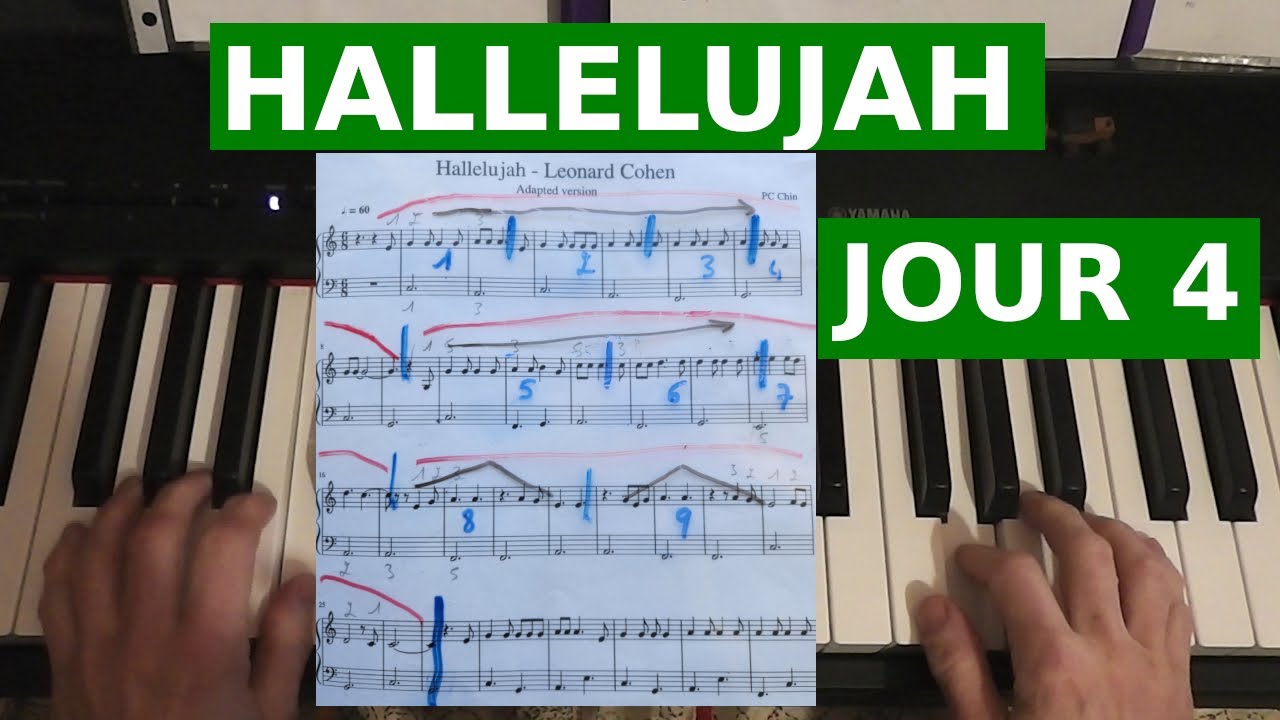 9 jours pour apprendre Hallelujah de Leonard Cohen | JOUR 4 | Mesure 7 à 9 Couplet 1 en entier