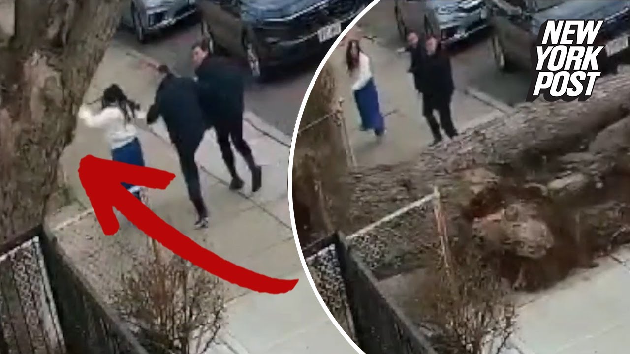 A tree falls in Brooklyn, nearly killing a family