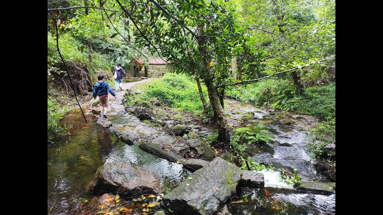 Alrededores de Combarro y visitamos PONTEVEDRA