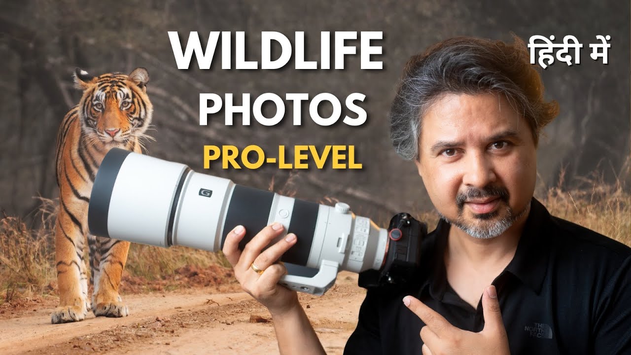 Take Pro-Level Wildlife Shots | Wildlife Photography for Beginners