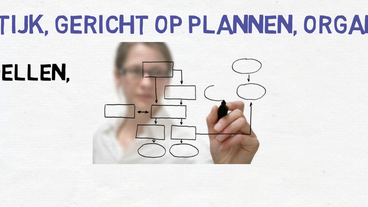 Management en organisatie