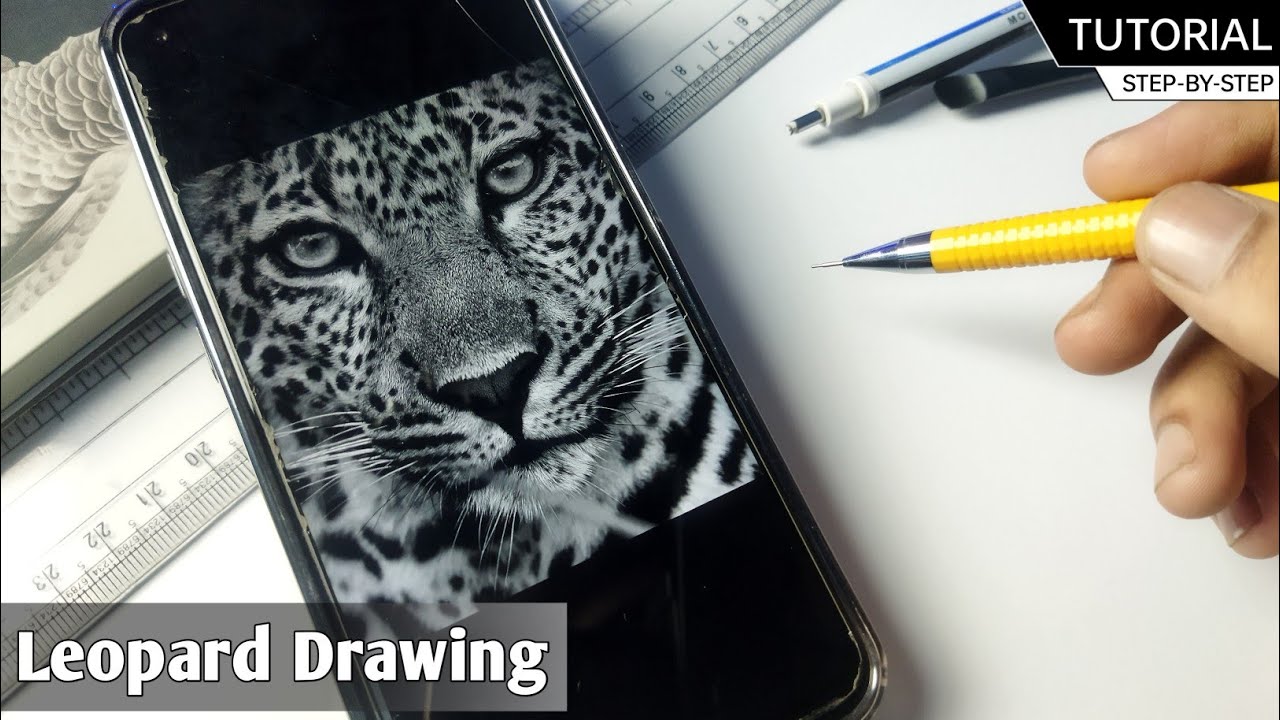 Рисуйте со мной — рисунок леопарда, контурный рисунок леопарда / Урок по простому контурному рису...
