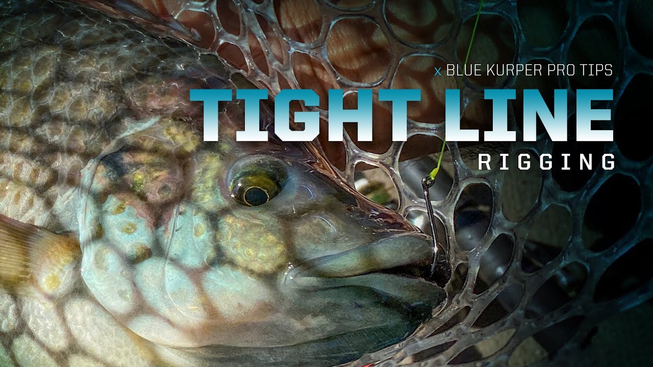 Tight Line Rigging for Big Blue Kurper