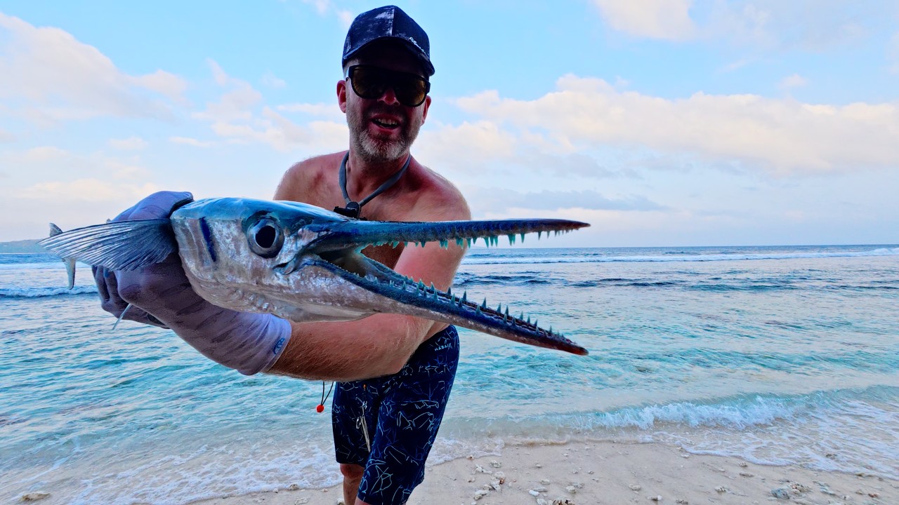 Tropical fishing is so ADDICTIVE !