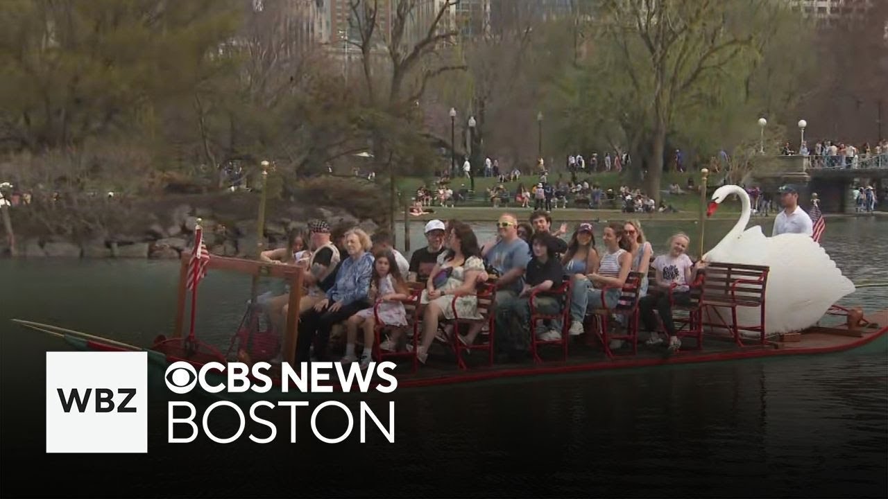 Swan boats return for 2025 season at Boston Public Garden