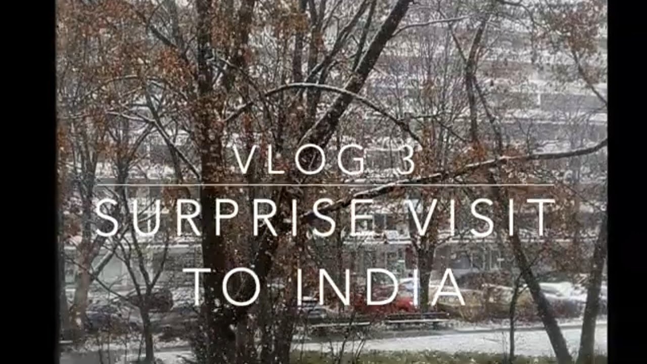 vLOG 3: Surprise Visit to India | Mom's reaction?? | Travelling from Germany to India in a Pandemic