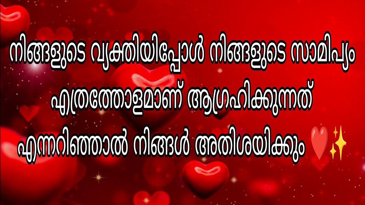 അവരിപ്പോൾ നിങ്ങളുടെ സാമിപ്യം എത്രത്തോളമാണ് ആഗ്രഹിക്കുന്നത് എന്നറിഞ്ഞാൽ നിങ്ങൾ അതിശയിക്കും ❤️✨