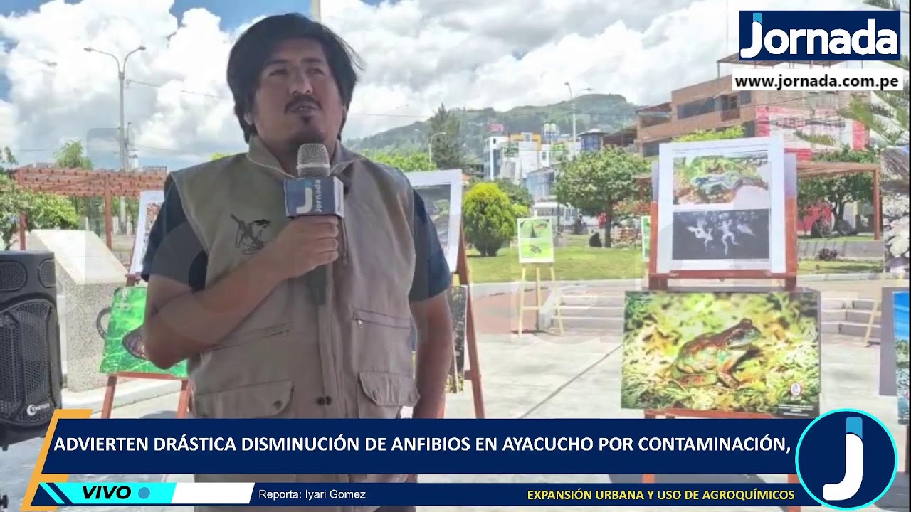 Advierten drástica disminución de anfibios en Ayacucho por contaminación y expansión urbana