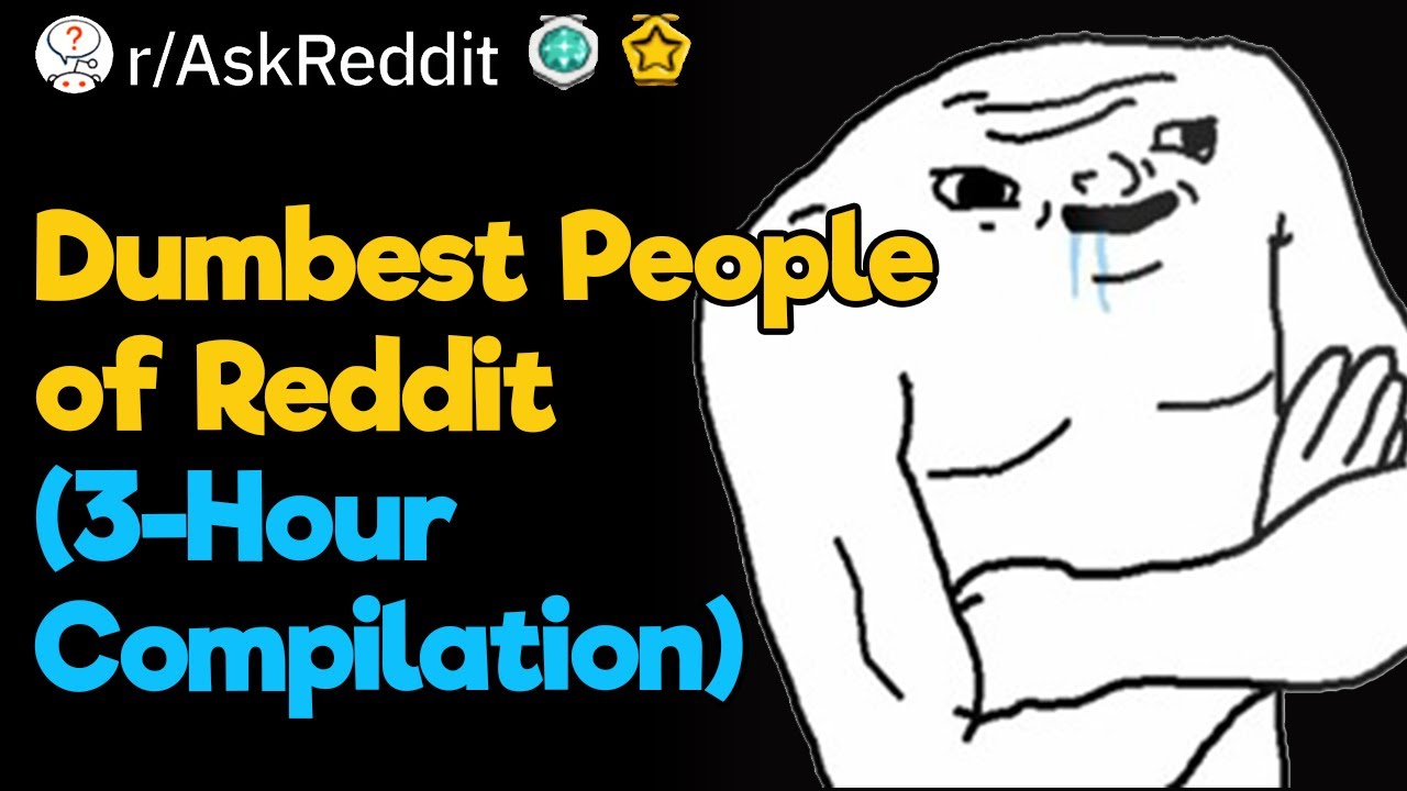 I'm With Stupid (3-Hour Reddit Compilation)