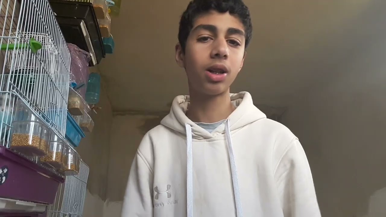 بدلت ذكر الكوكتيل بذكر جديد وجوله في غرفه الطيور