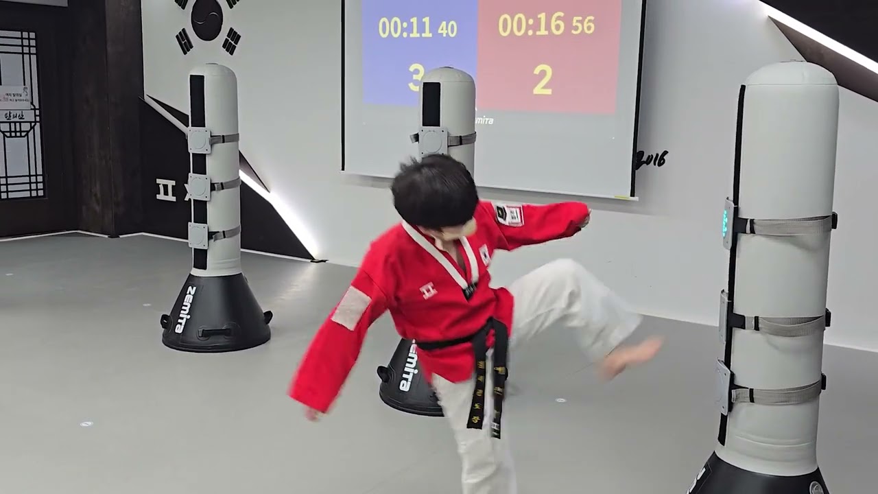 Dodreamlight 12 (visual response training system)