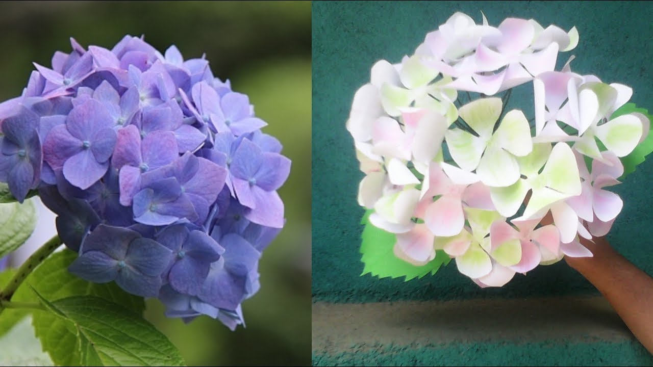 How to make beautiful Hydrangea paper flowers|DIY Paper Hydrangea Flowers