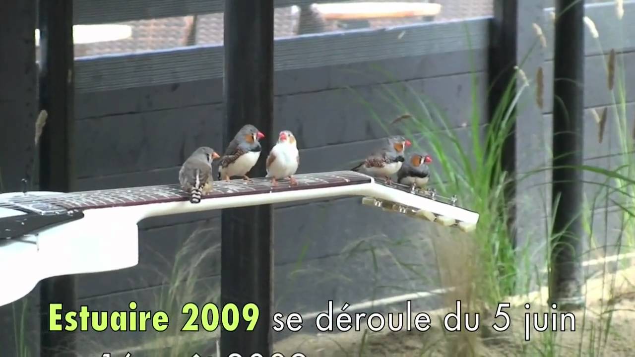 Video Nantes 4/4 - ESTUAIRE 2009