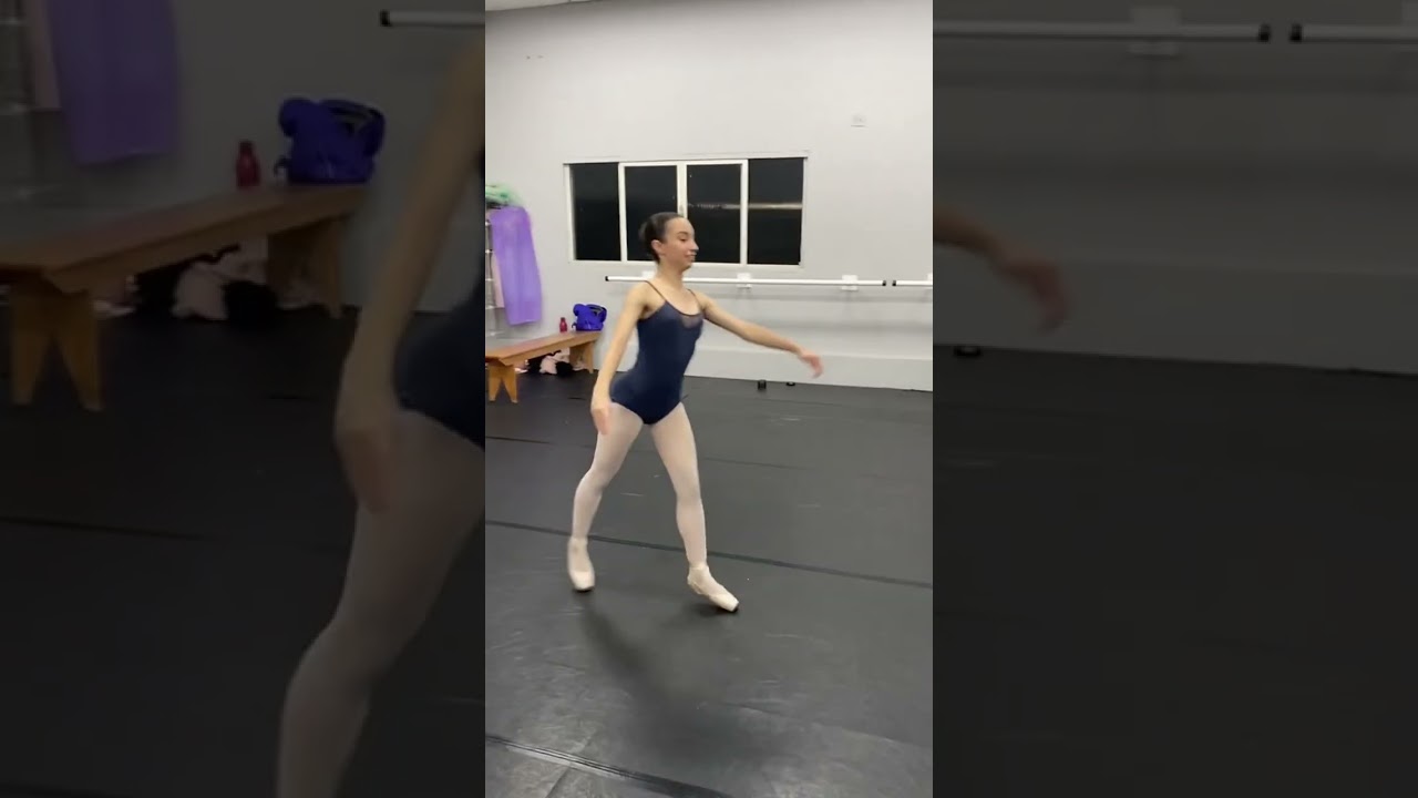 Os passos de ballet que elas n&atilde;o gostam!