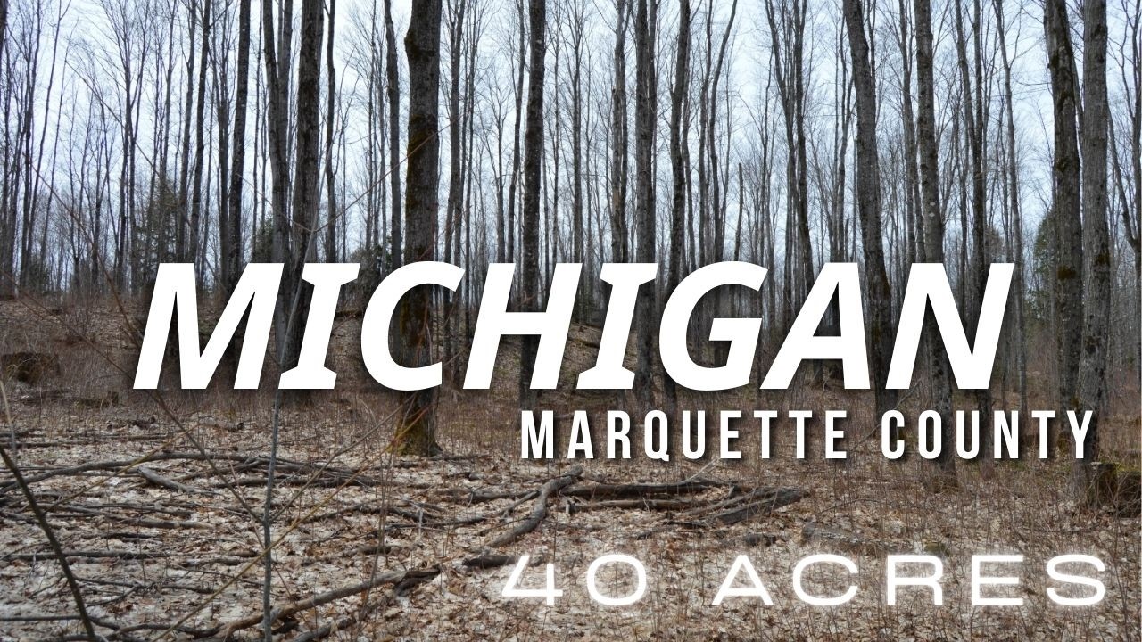 Marquette County, Georgia | Hunting Lease Available | 40 Acres | 59265