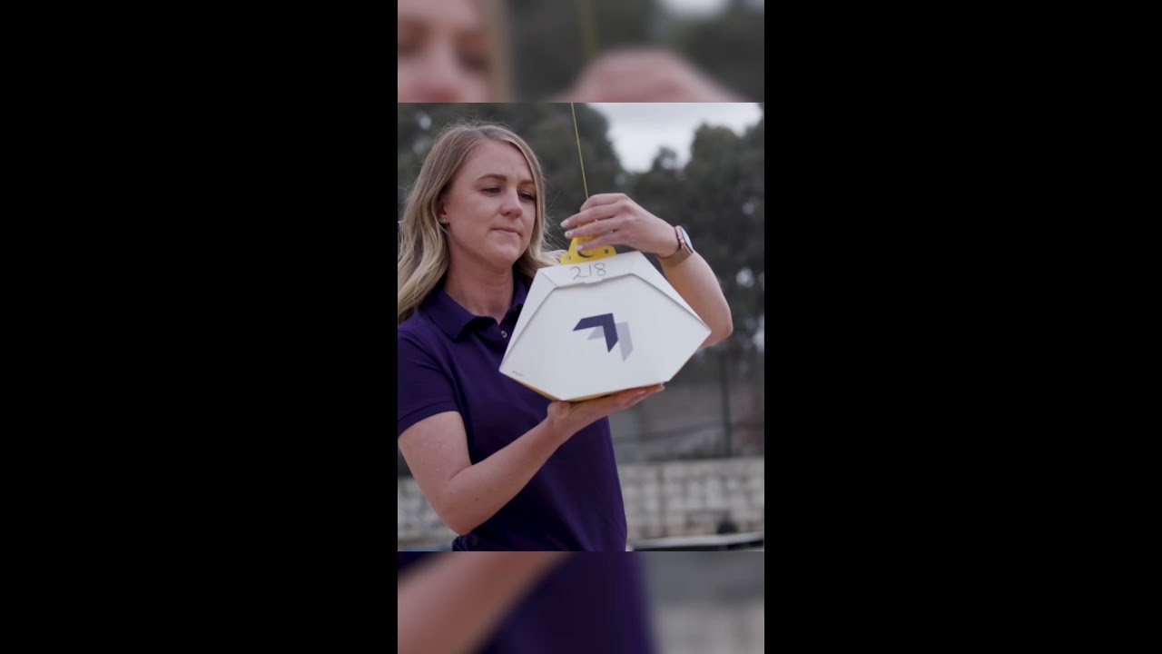 How does Wing drone delivery work? 🧐