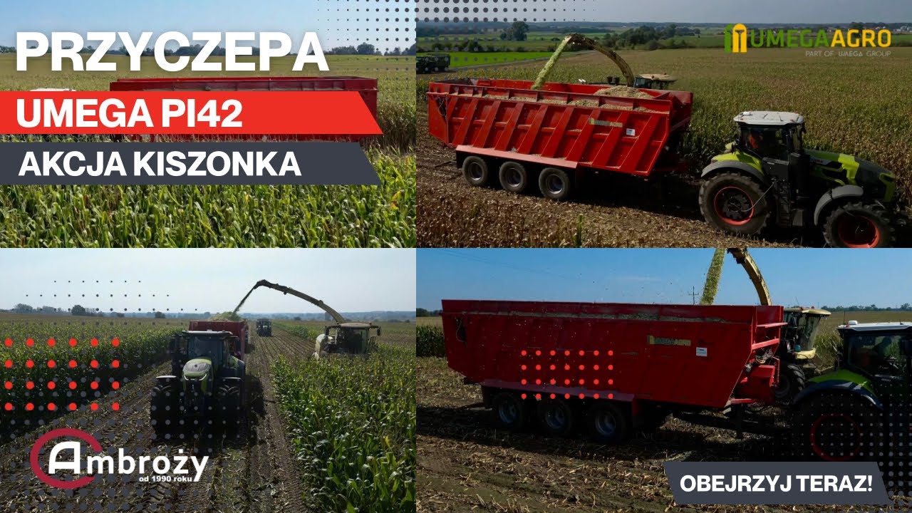 AKCJA KISZONKA! 🔥Przyczepa UMEGA PI42 + CLAAS AXION 9.450!🔥 Wywozimy plewy na pryzmę!💪