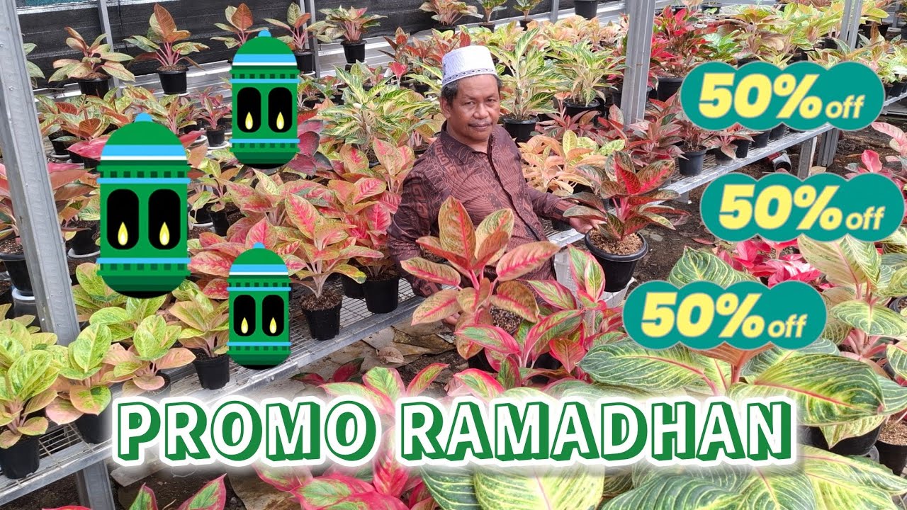 RAMADHAN BERKAH !! PROMO TER-HOT RAMADHAN !!