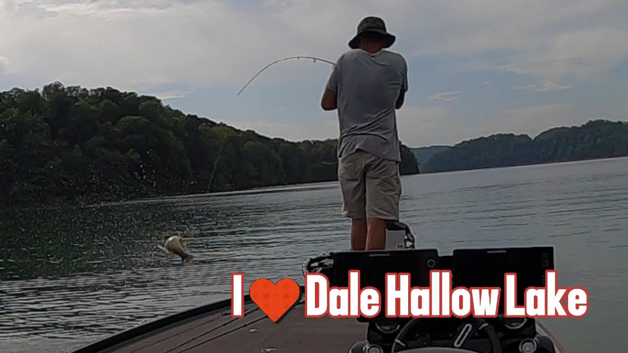 They Are (Almost) Jumping In The Boat At DALE HALLOW LAKE