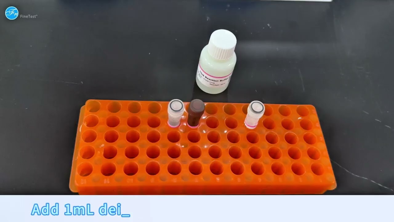 EdU Cell Proliferation Assay Protocol