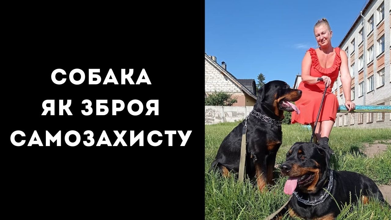 Собака як зброя самозахисту