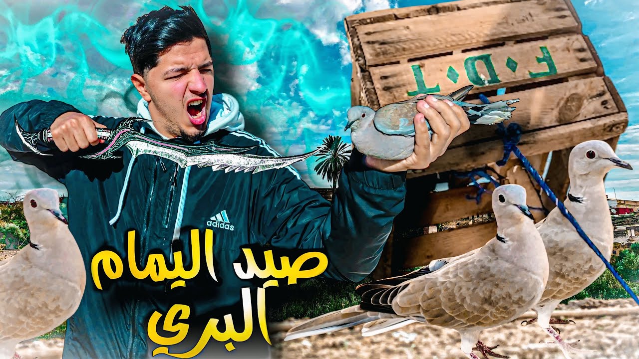 تحدي صيد الحمام و اليمام البري 🏹 بطريقه سهلة ❤️